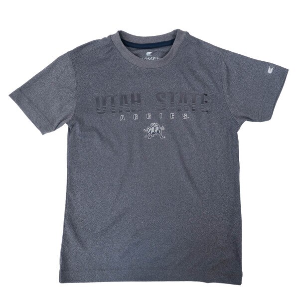 Utah State Aggies Gray Youth Tee